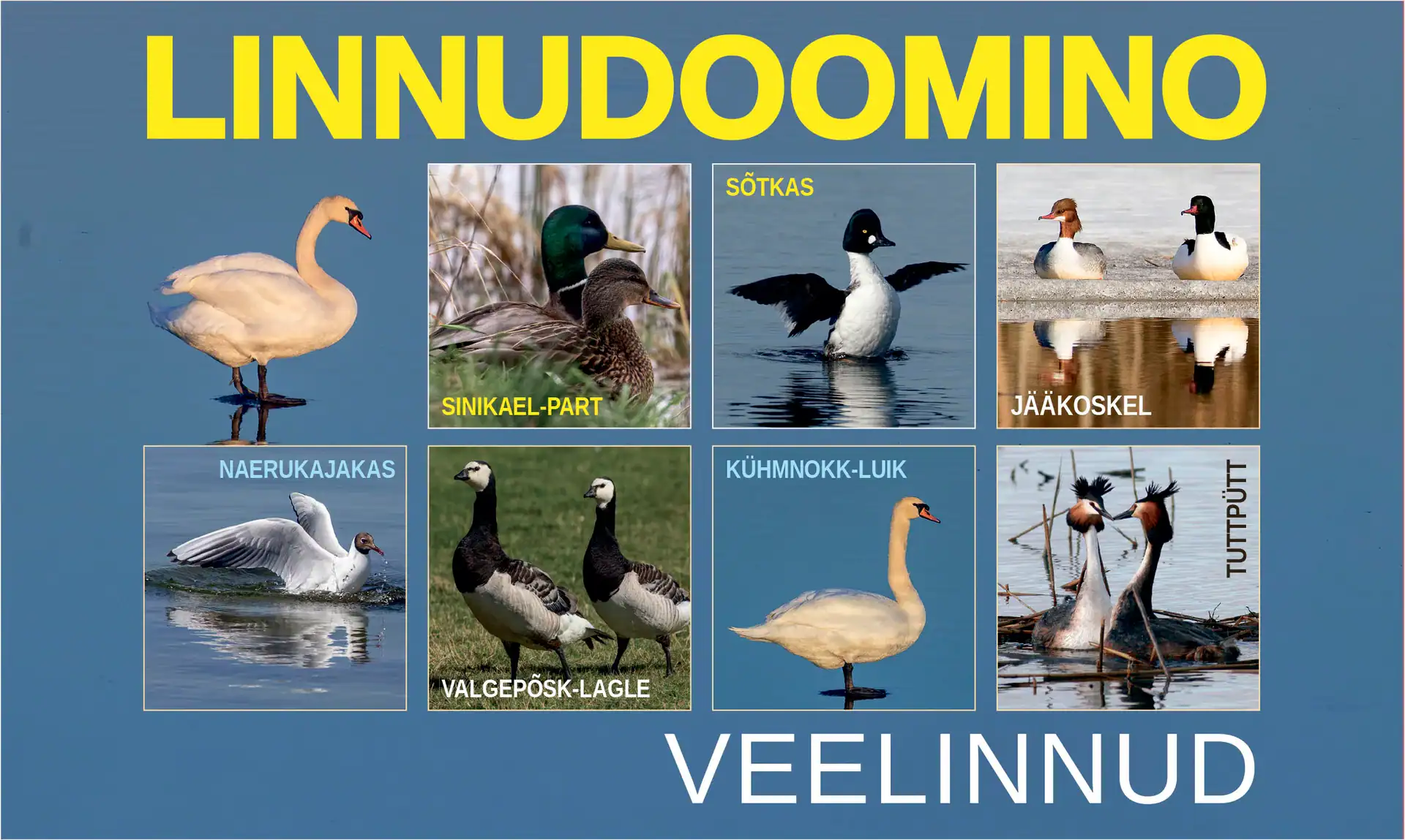 Linnudoomino "VEELINNUD" Linnudoomino – Veelinnud