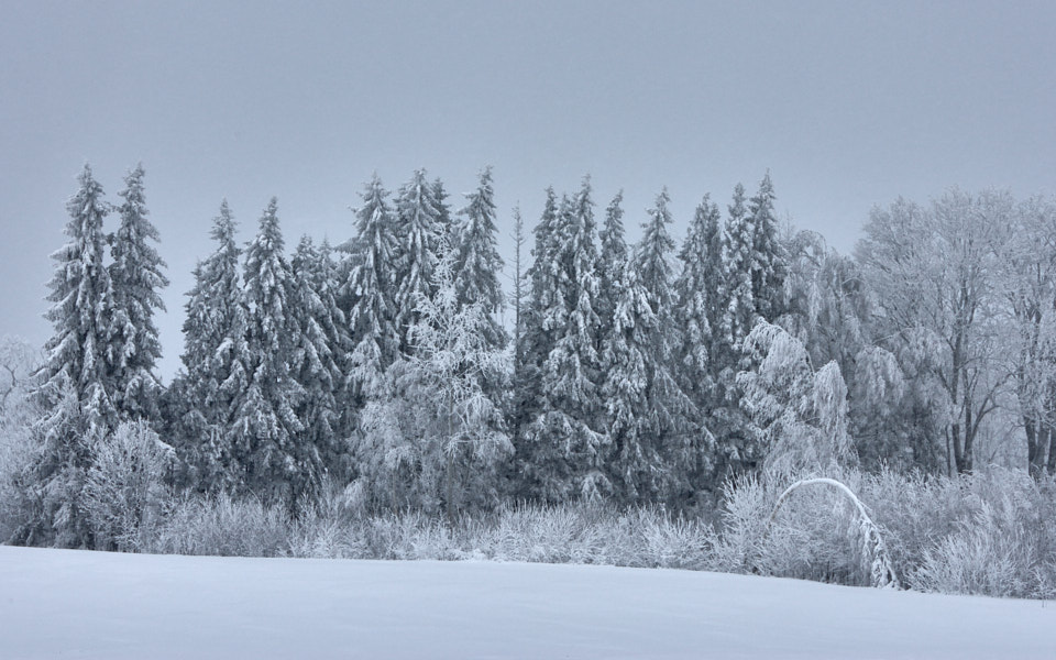 Päeva pilt Päeva pilt