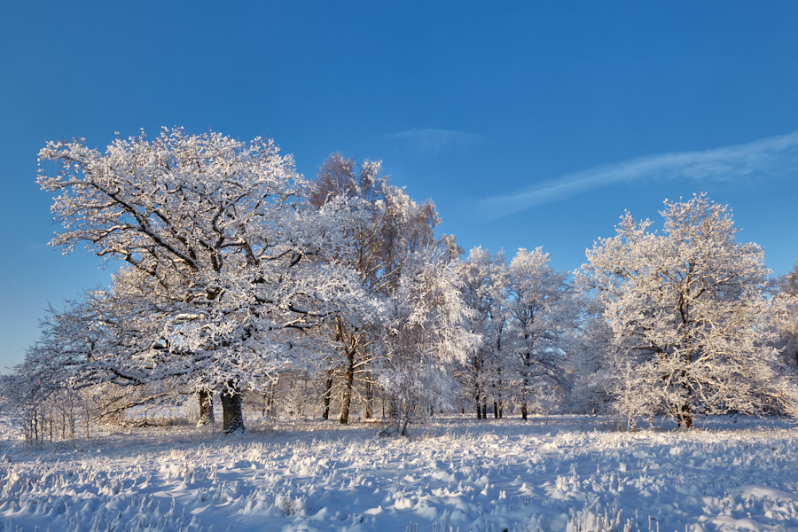 Päeva pilt Päeva pilt