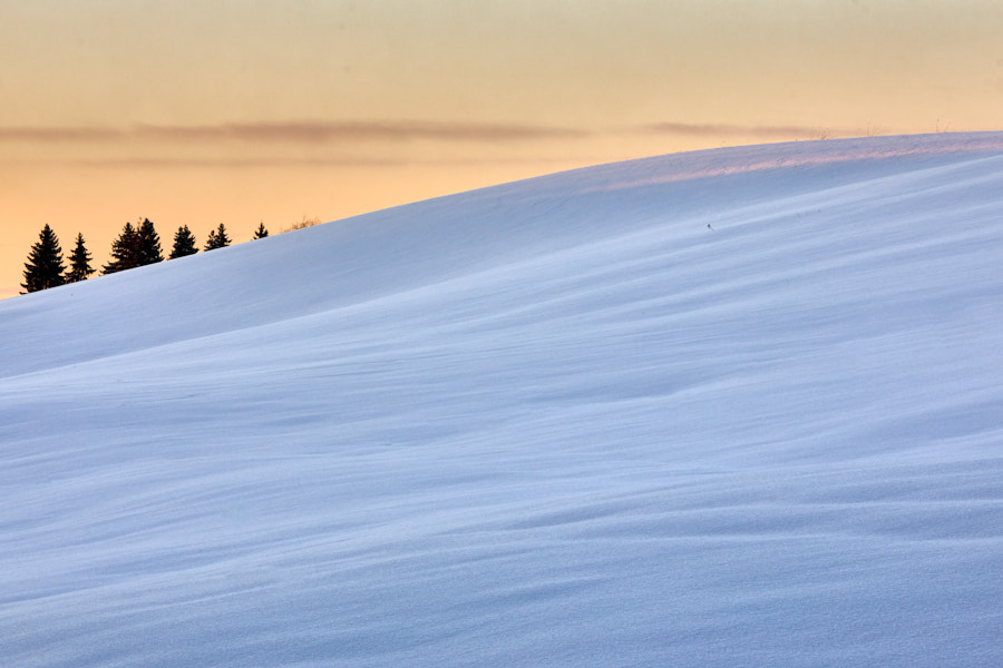 Päeva pilt Päeva pilt