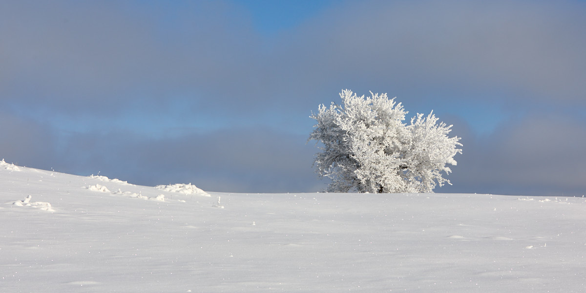 Päeva pilt Päeva pilt