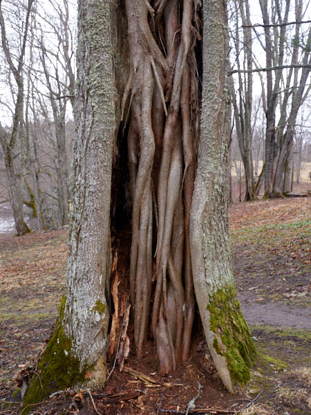 Päeva pilt Päeva pilt