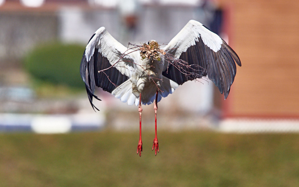 Päeva pilt Päeva pilt