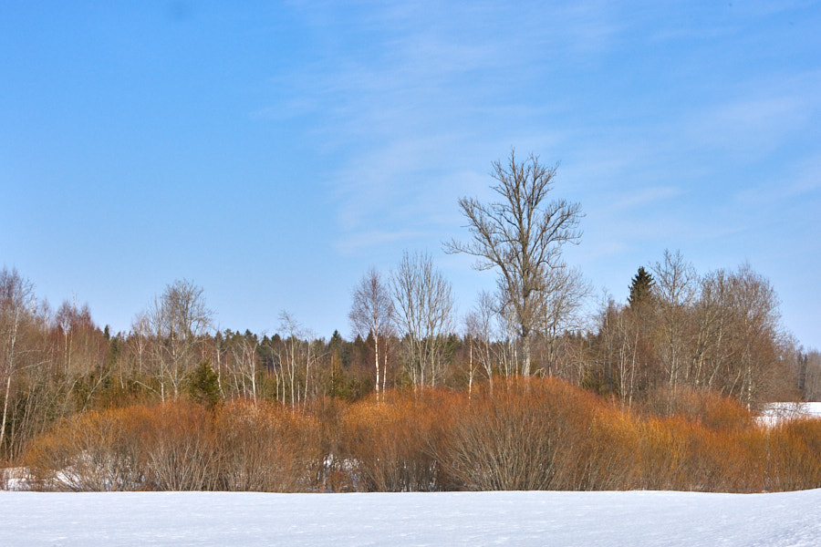 Päeva pilt Päeva pilt