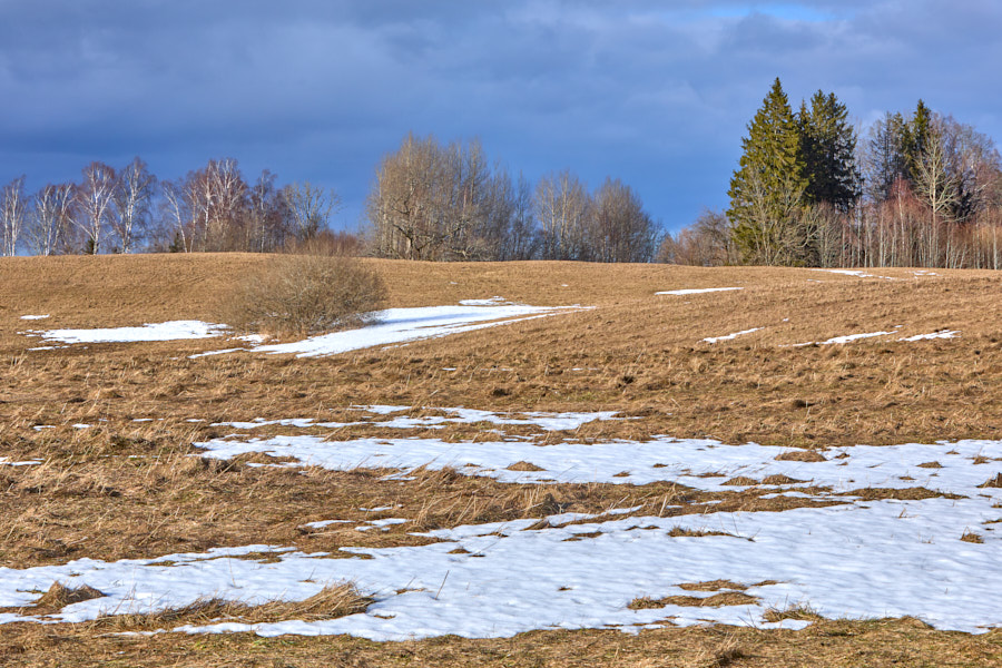 Päeva pilt Päeva pilt