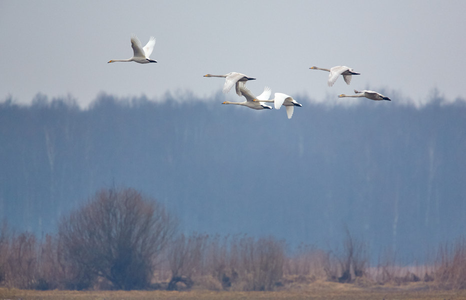 Päeva pilt Päeva pilt