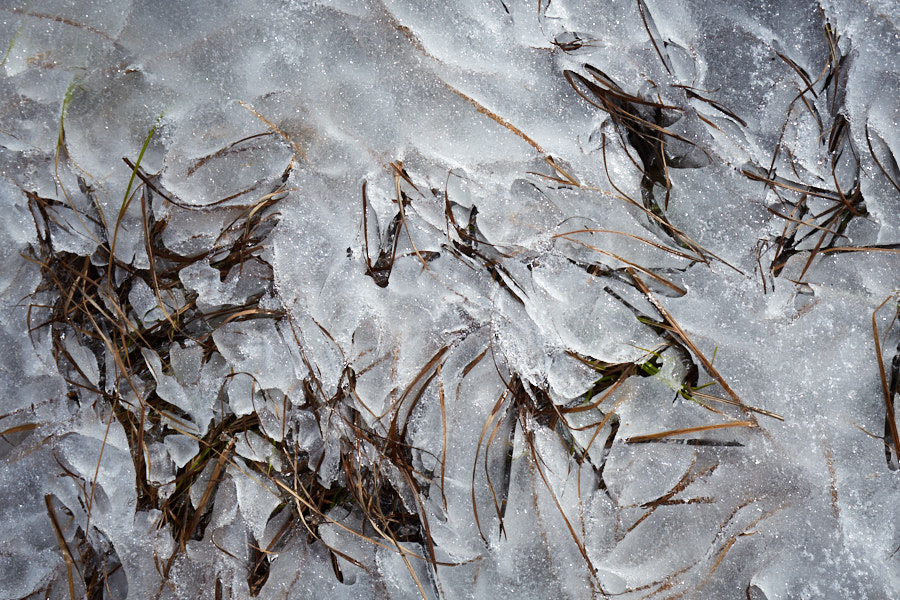 Päeva pilt Päeva pilt