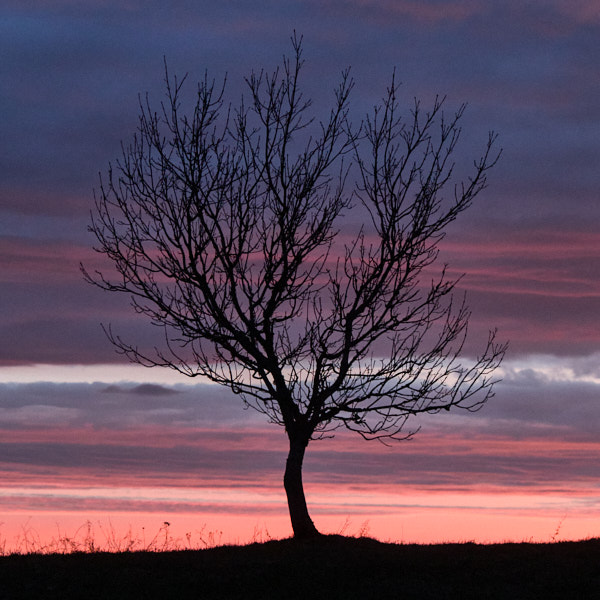 Päeva pilt Päeva pilt