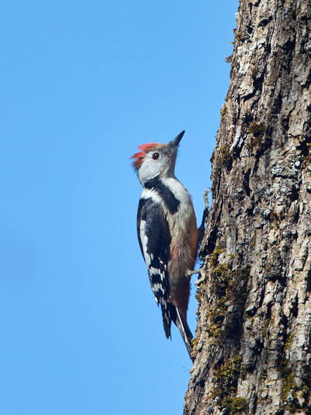 Päeva pilt Päeva pilt