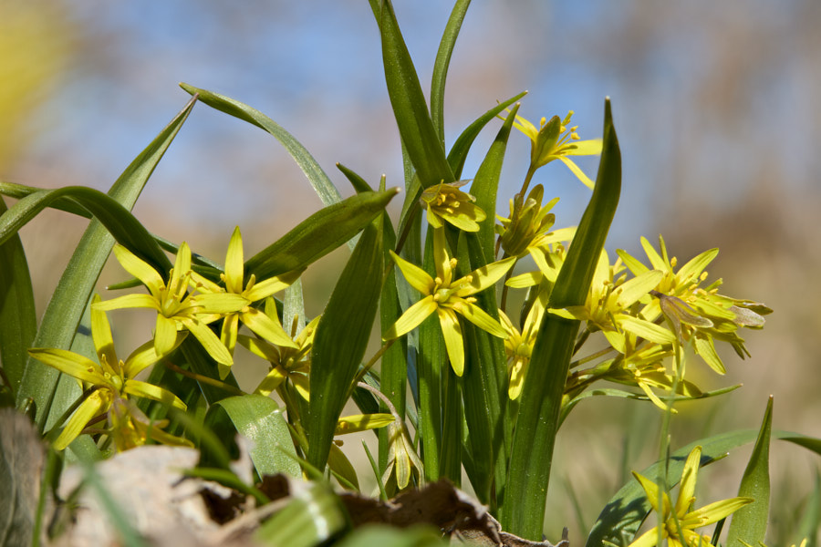 Päeva pilt Päeva pilt