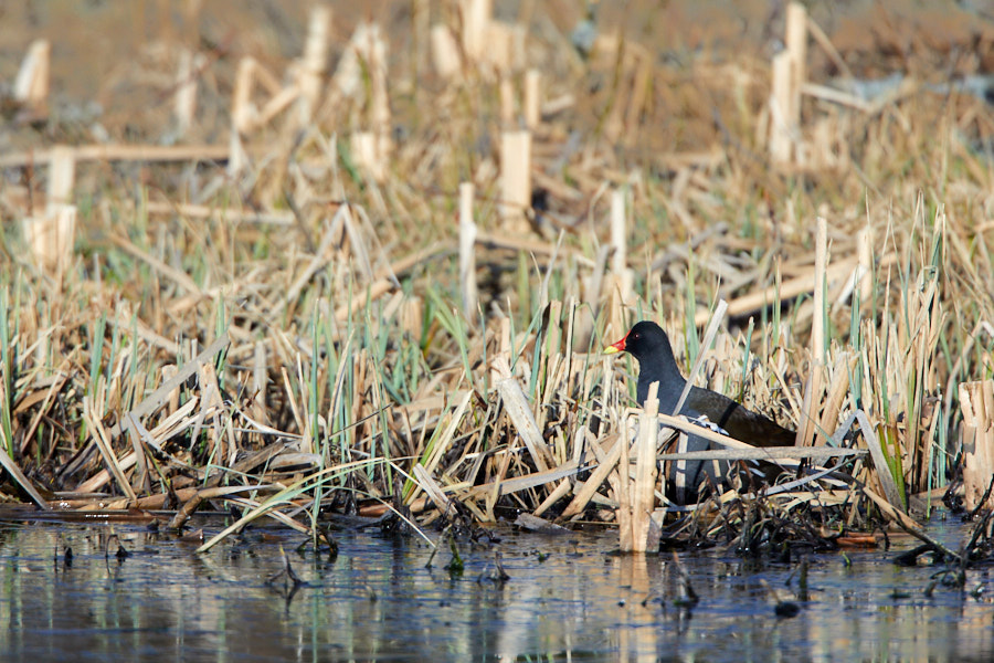 Päeva pilt Päeva pilt