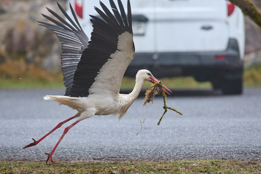 Päeva pilt Päeva pilt