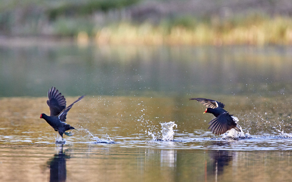 Päeva pilt Päeva pilt
