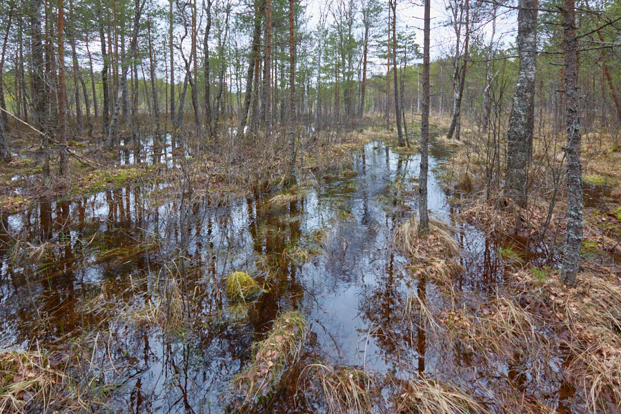 Päeva pilt Päeva pilt