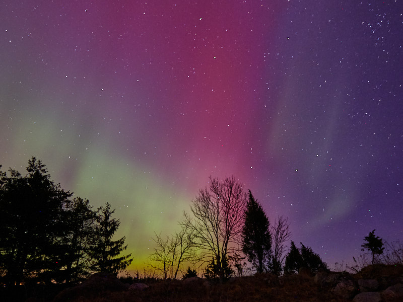 Päeva pilt Päeva pilt