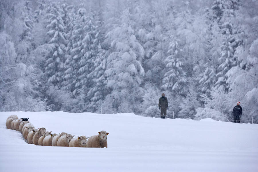 Päeva pilt Päeva pilt