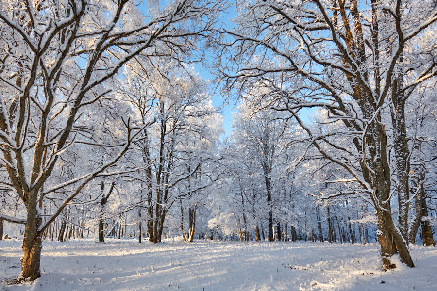 Päeva pilt Päeva pilt