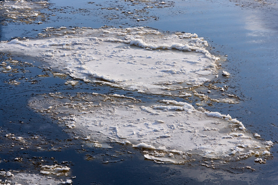 Päeva pilt Päeva pilt