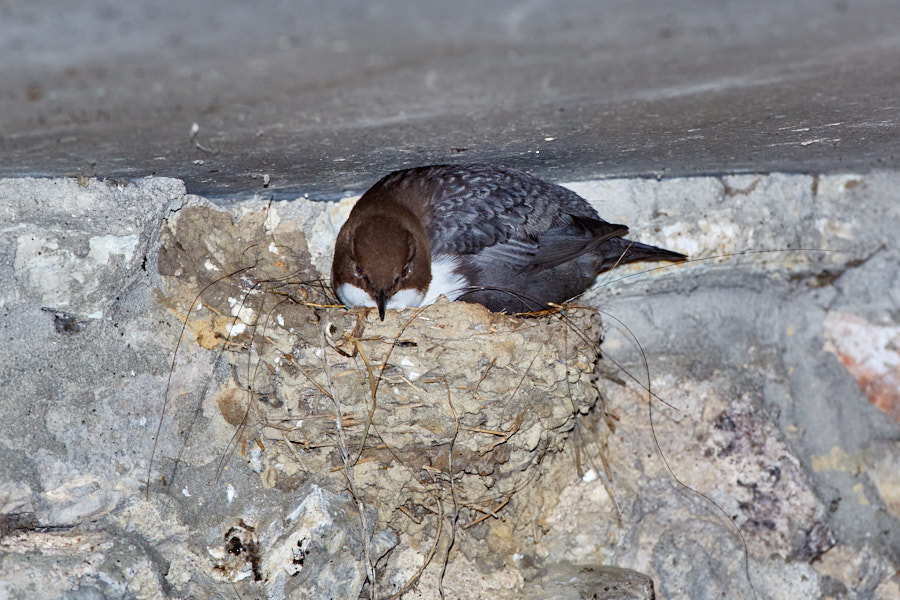 Päeva pilt Päeva pilt