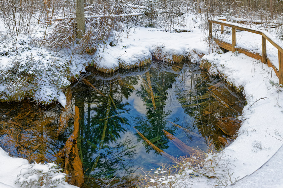 Päeva pilt Päeva pilt