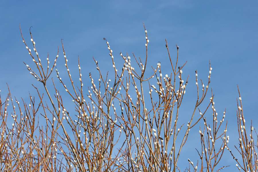 Päeva pilt Päeva pilt