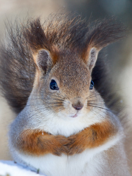 Päeva pilt Päeva pilt