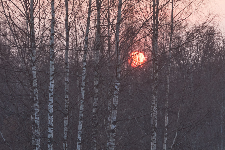 Päeva pilt Päeva pilt