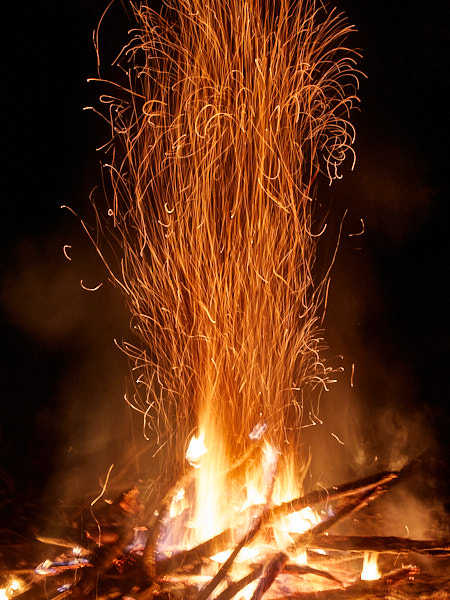 Päeva pilt Päeva pilt