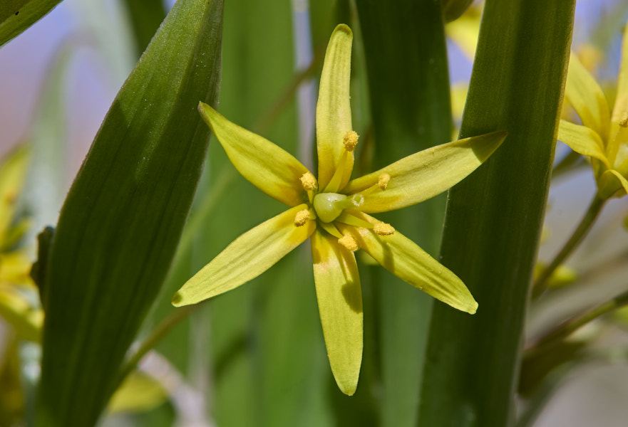 Päeva pilt Päeva pilt