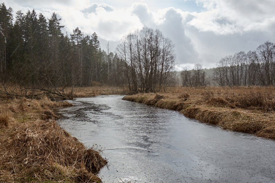 Päeva pilt Päeva pilt