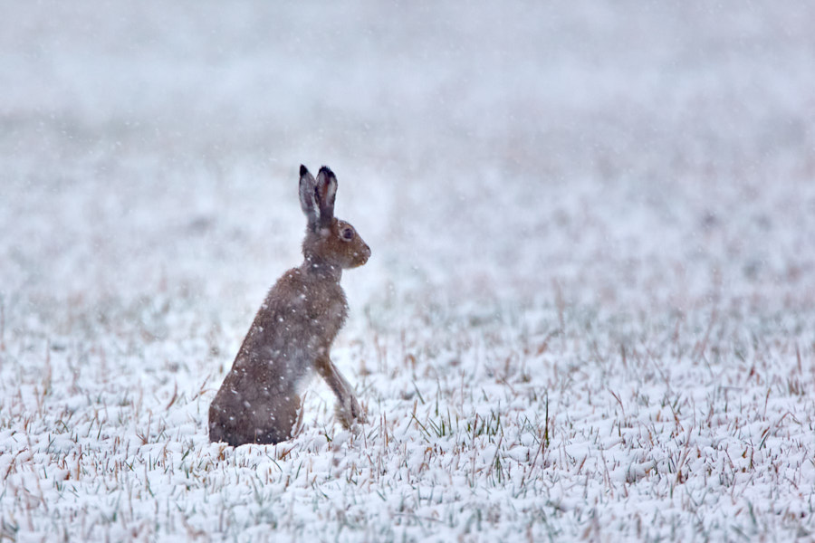 Päeva pilt Päeva pilt