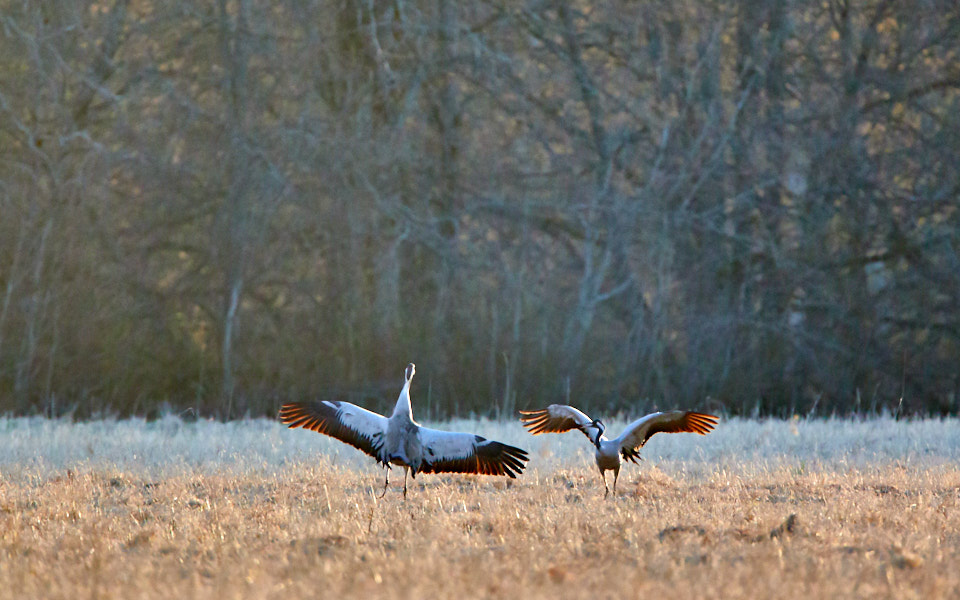 Päeva pilt Päeva pilt