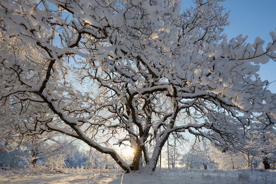 Päeva pilt Päeva pilt