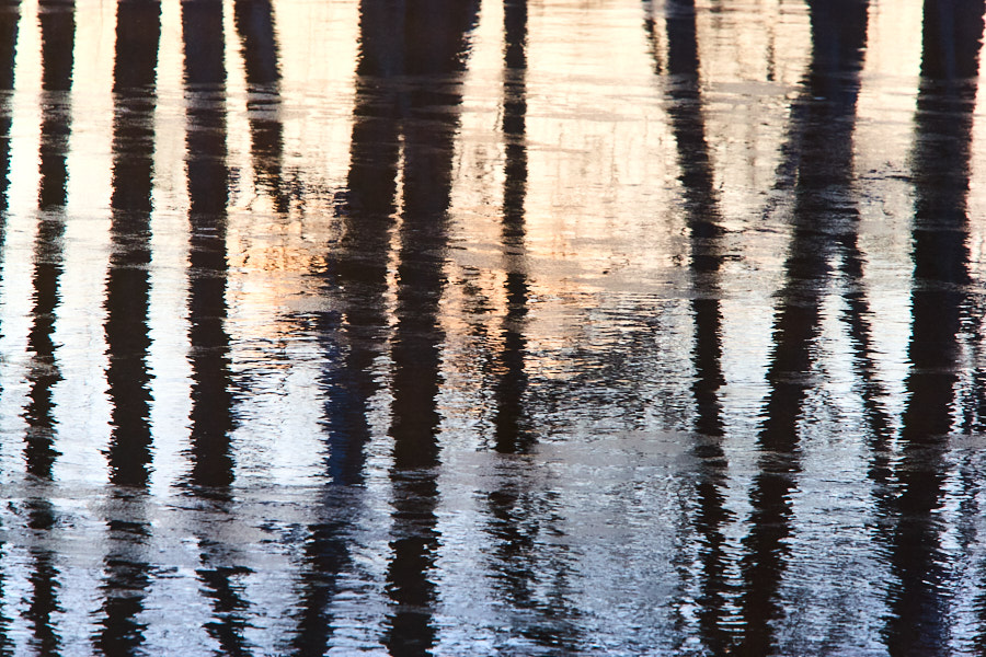 Päeva pilt Päeva pilt