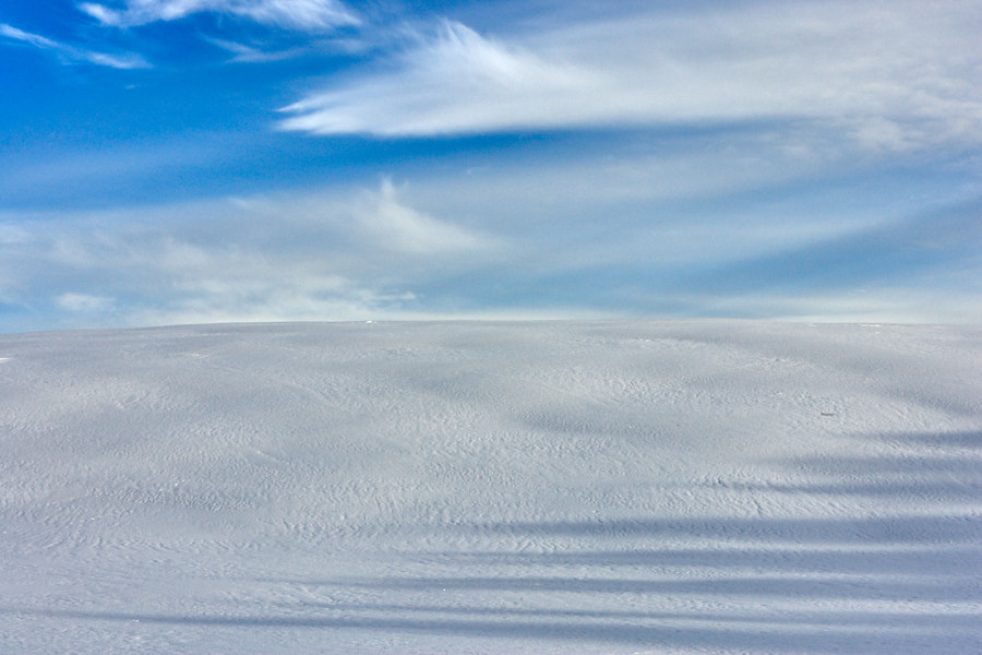 Päeva pilt Päeva pilt