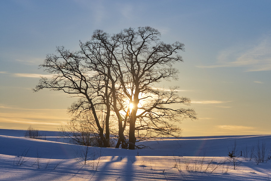 Päeva pilt Päeva pilt