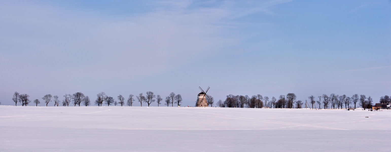 Päeva pilt Päeva pilt