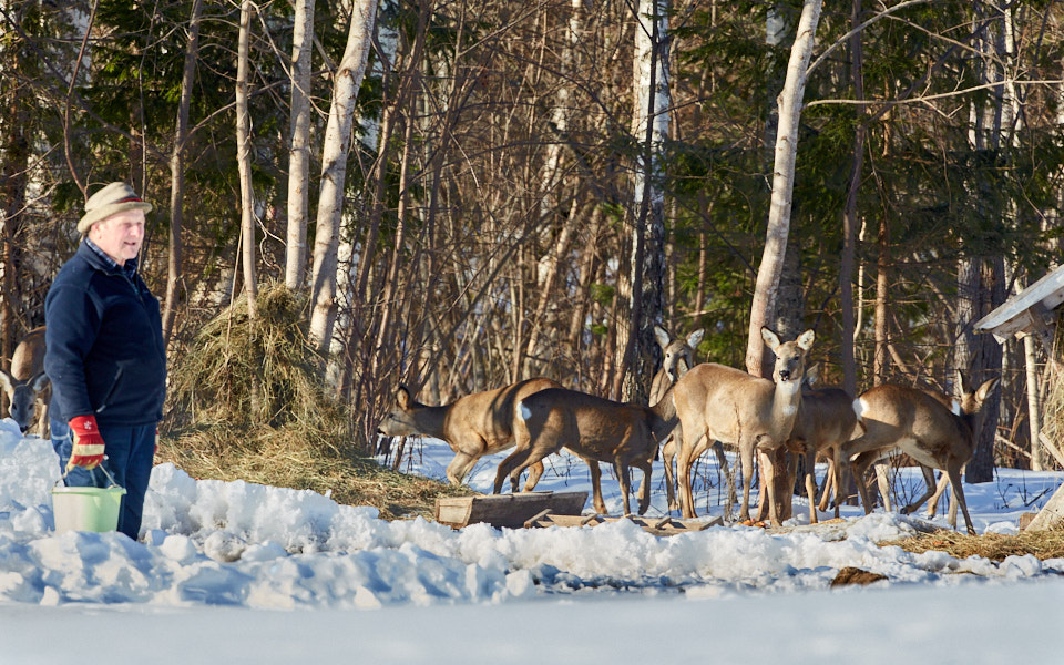 Päeva pilt Päeva pilt