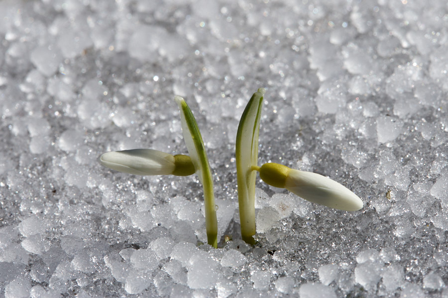 Päeva pilt Päeva pilt