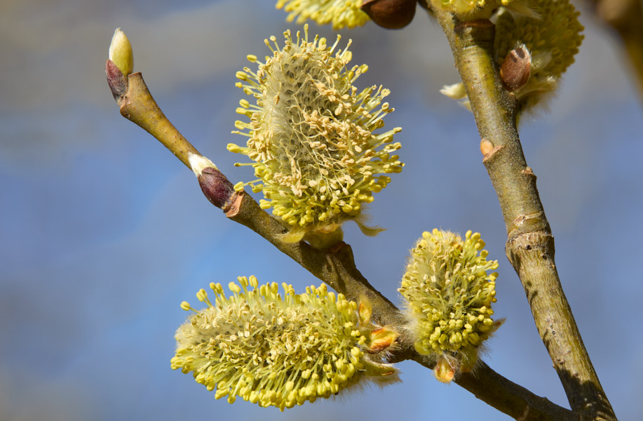 Päeva pilt Päeva pilt