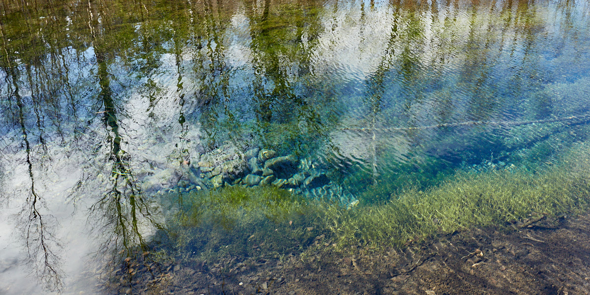 Päeva pilt Päeva pilt