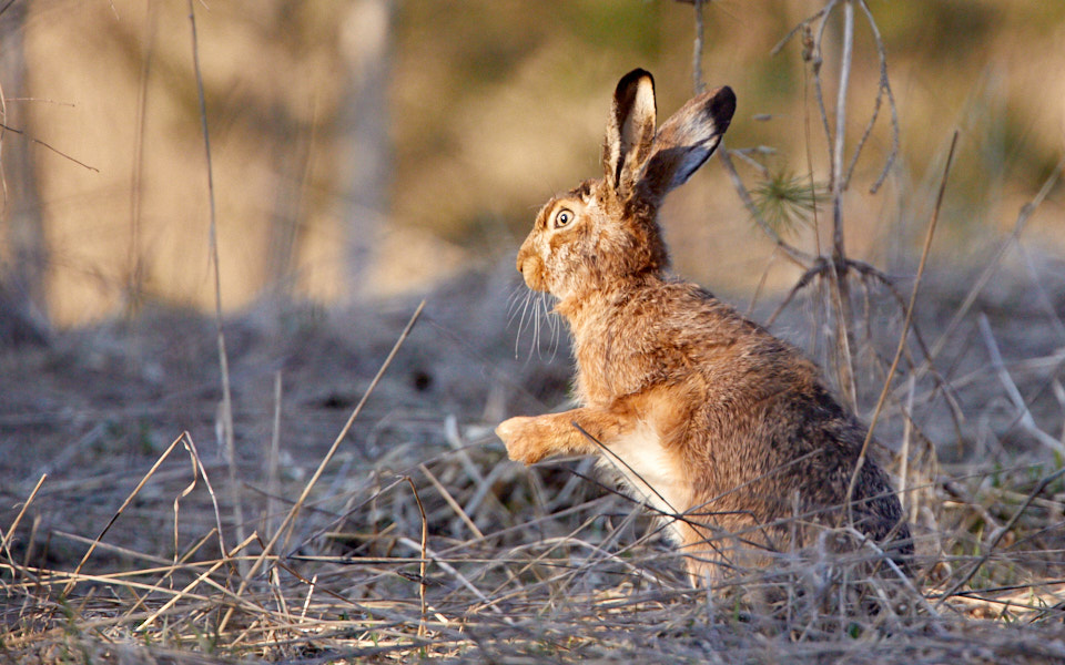 Päeva pilt Päeva pilt
