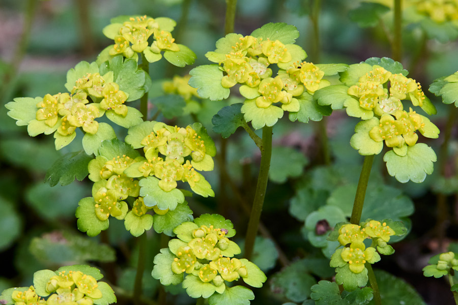 Päeva pilt Päeva pilt