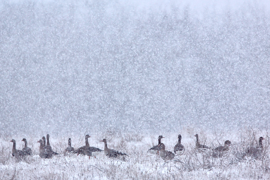 Päeva pilt Päeva pilt