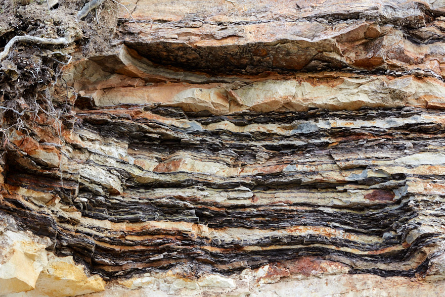 Päeva pilt Päeva pilt