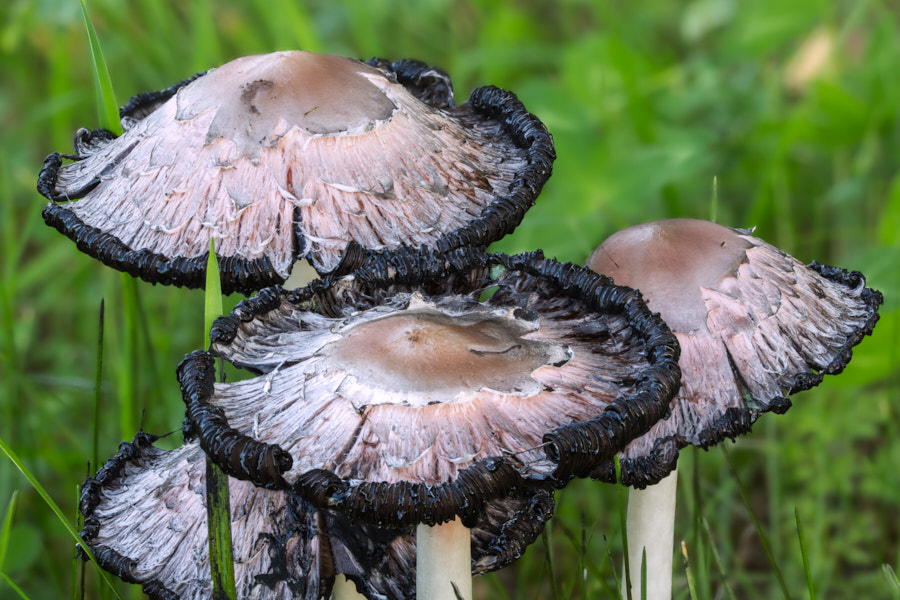 Päeva pilt Päeva pilt