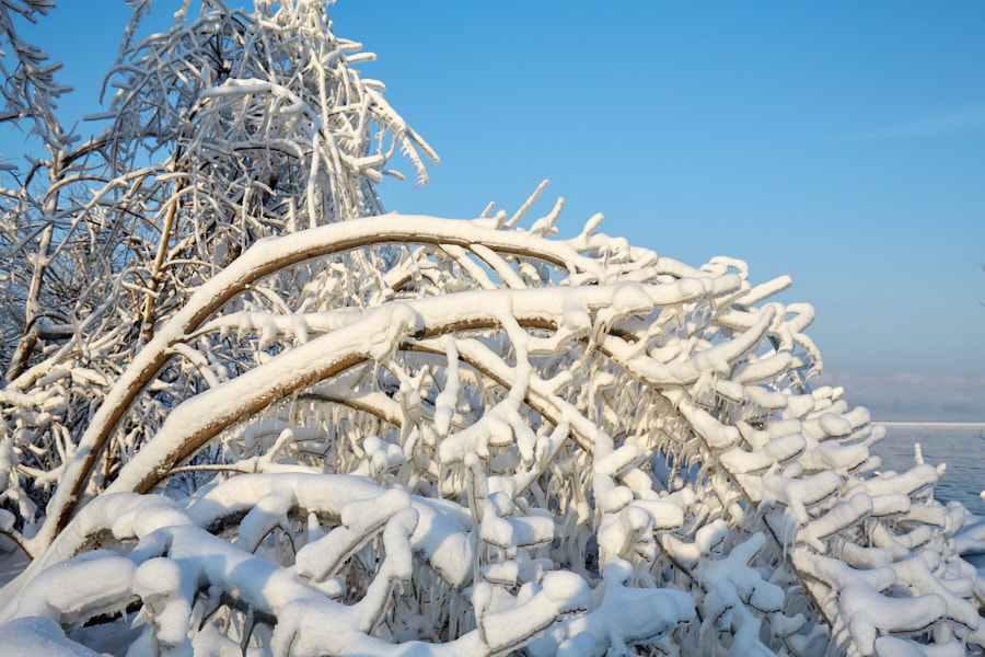 Päeva pilt Päeva pilt