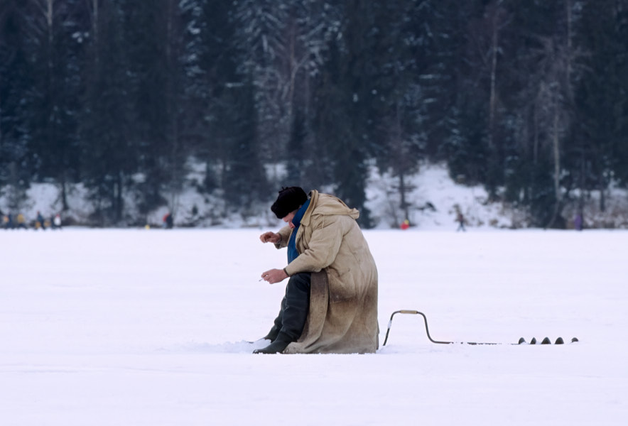 Päeva pilt Päeva pilt