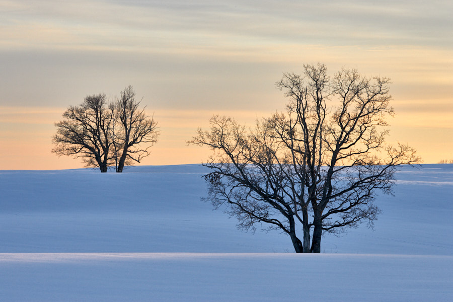 Päeva pilt Päeva pilt
