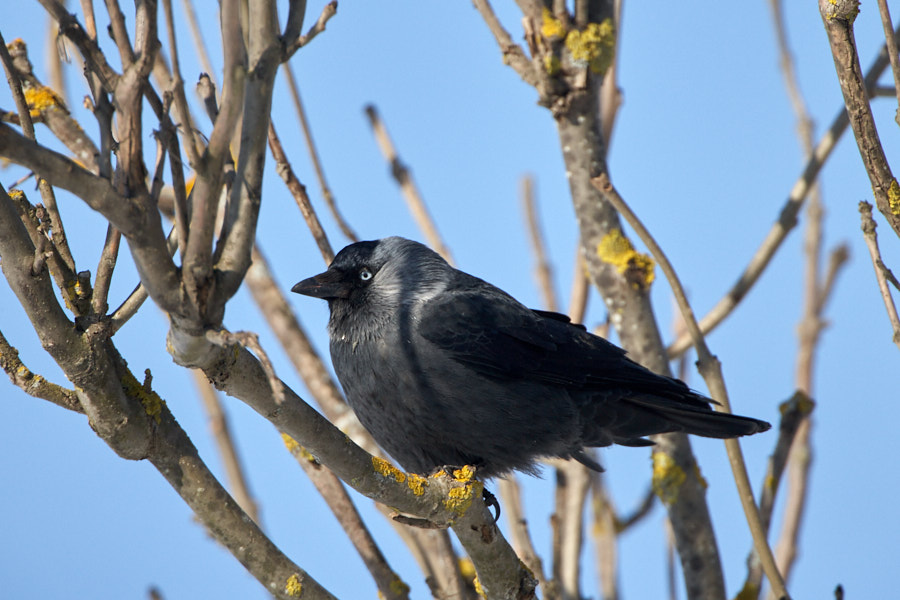 Päeva pilt Päeva pilt